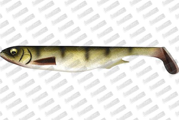 MEGABASS Spark Shad 7'' #French Tiger