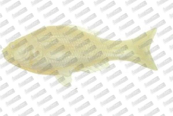 VAGABOND Persimmon Soft 95 #016 Pearl White Glow