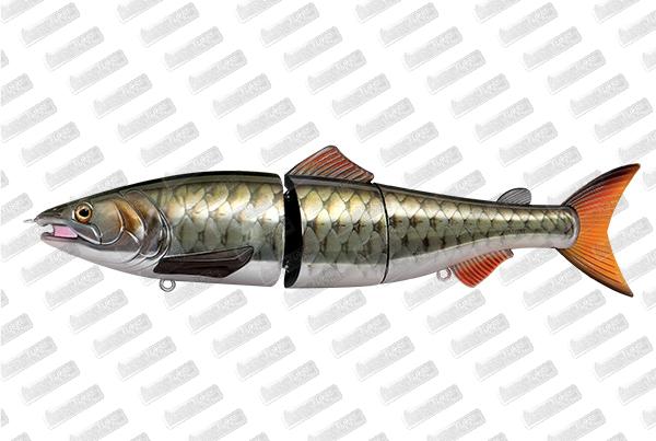 ZEREK Affinity #Empurau