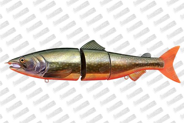 ZEREK Affinity #Golden Trout