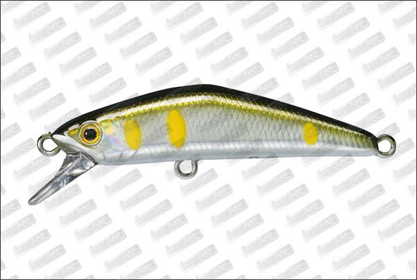 SMITH D-Compact 38 #08