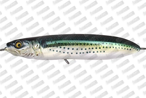 VAGABOND Iwashi Pencil #Konoshiro