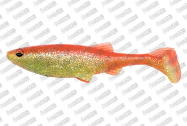 BIWAA Kapsiz Kast #308