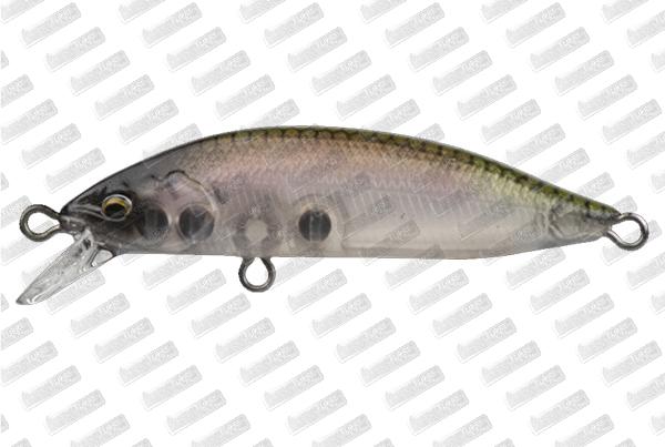 BABYFACE M50SR-S #05 Ghost Wakasagi