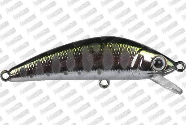 FOREST iFish FT 50S #5