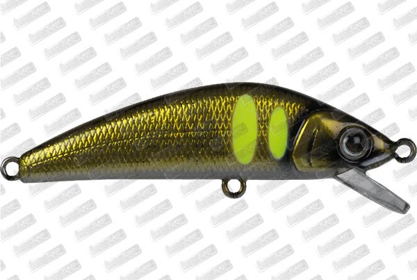 FOREST iFish FT 50S #6