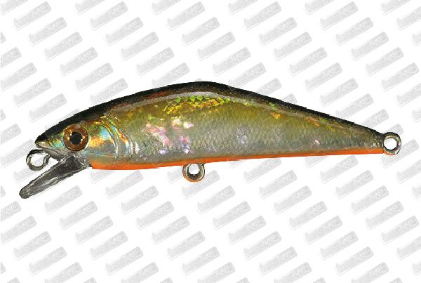 SMITH D-Contact 50 Autumn #02 Awabi