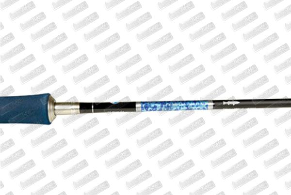 SMITH Dragonbait Seabass LX 220cm 40-120g