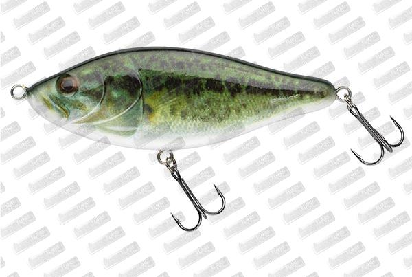 BIWAA Raffal 130 #01 Real Bass