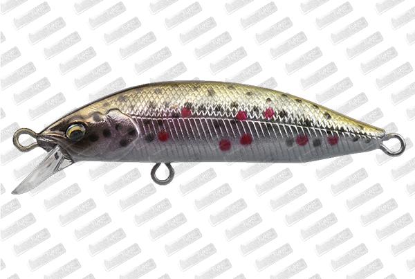 BABYFACE M50SR-S #06 Brown Trout