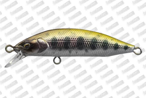 BABYFACE M50SR-S #07 Yamame