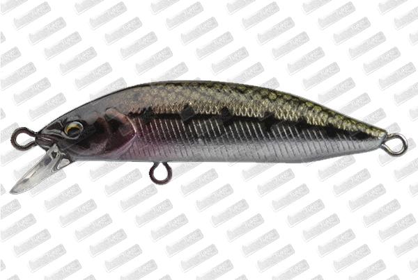 BABYFACE M60SR-S #01 Goujon