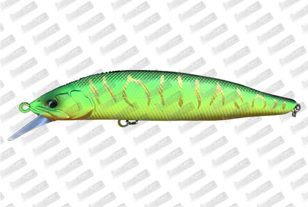 BABYFACE M100SR-SP #2 Hot Tiger