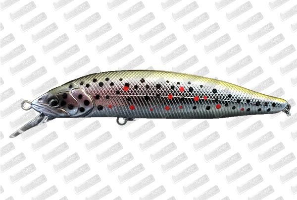 BABYFACE M100SR-SP #6 Brown Trout