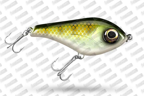 EASTFIELD Chubby Chaser #706 Weksell Zander