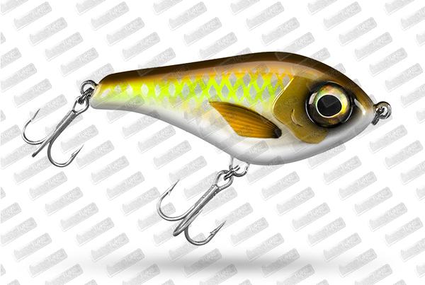 EASTFIELD Chubby Chaser #708 Banancola