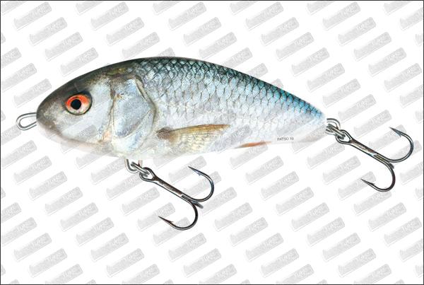 SALMO Fasto 14 cm Sinking #RD