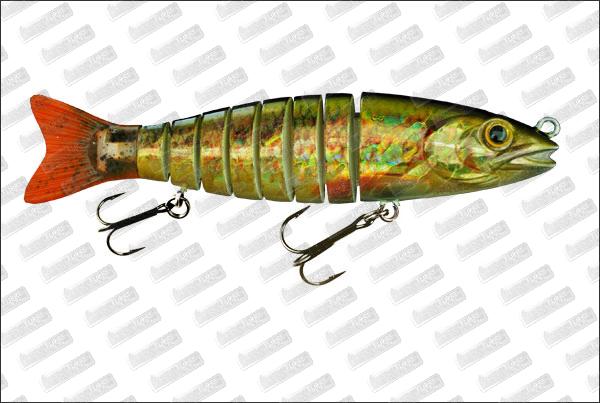 BIWAA S'tröut 6.5 #16