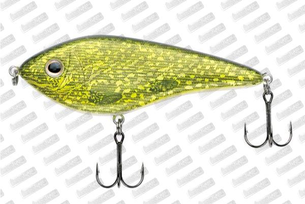 WESTIN Swim 100 SP #Natural Pike