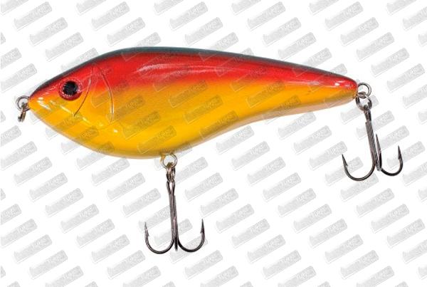 WESTIN Swim 65 SP #Parrot Special