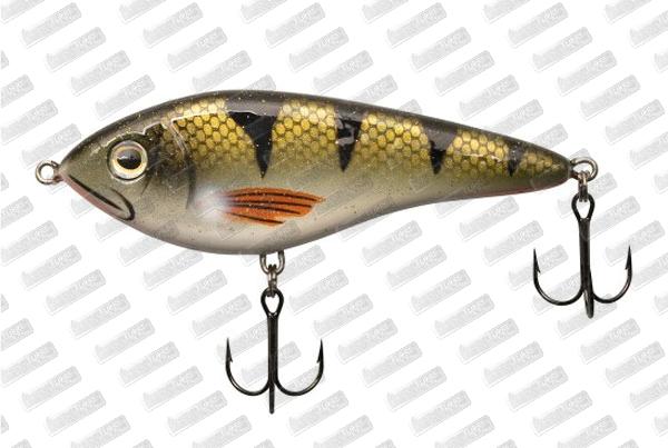 WESTIN Swim 100 SP #Natural Perch