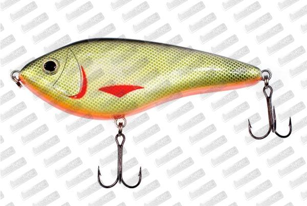 WESTIN Swim 120 SP #Official Roach