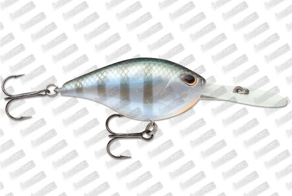 STORM ARASHI Rattling Deep 25 #Blue Gill