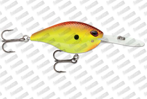 STORM ARASHI Rattling Deep 25 #Hot Chart Shad