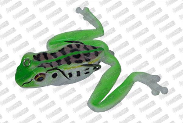 KAHARA Diving Kahara Frog #01