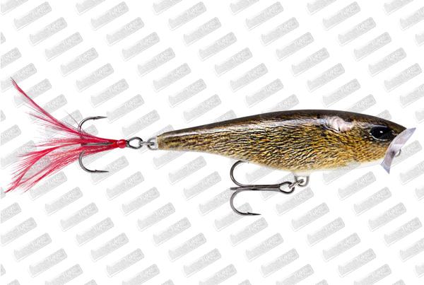 RAPALA Skitter Pop 07 #FML