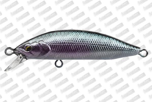 BABYFACE M60SR-S #03 Blue Back Silver